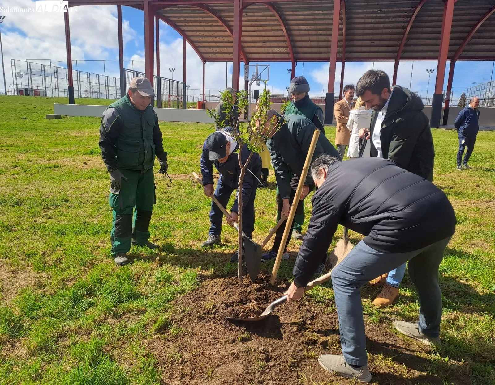 Plantación de un nuevo bosque urbano de La Salud | FOTOS: David Domínguez