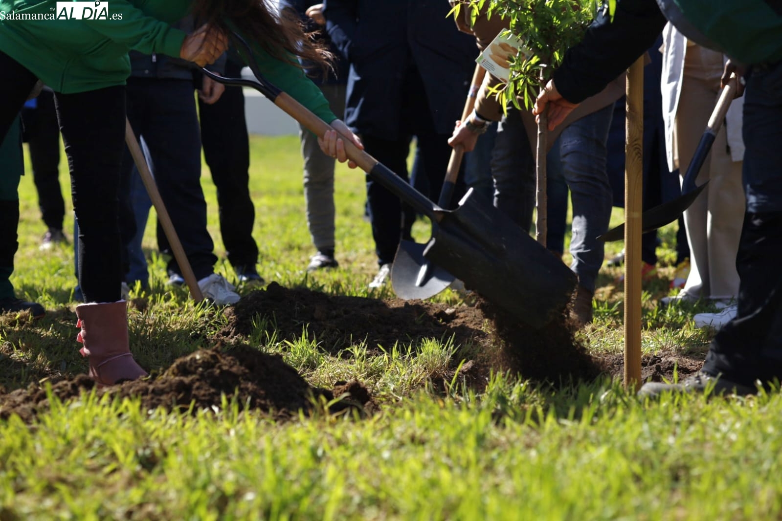 Salamanca planta su Bosque del Deporte