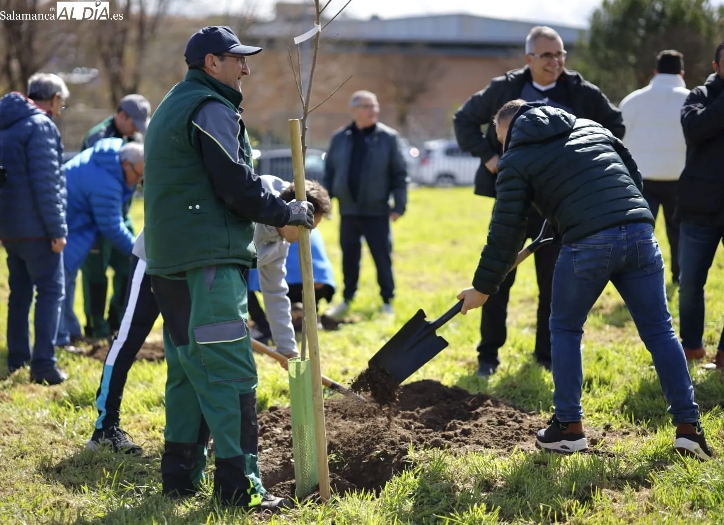 Plantación de un nuevo bosque urbano de La Salud | FOTOS: David Domínguez