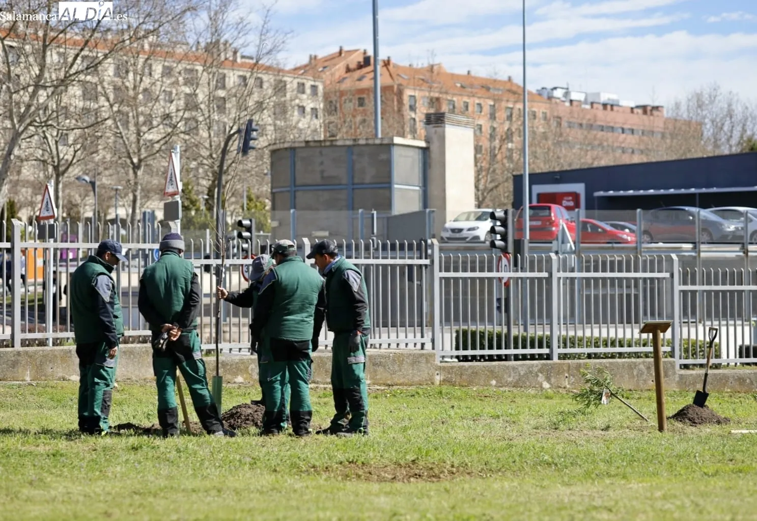 Plantación de un nuevo bosque urbano de La Salud | FOTOS: David Domínguez