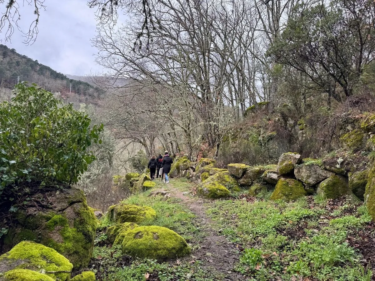 Foto 8 - El Sendero Puentes Nuevas, nueva propuesta en plena Sierra de Francia (FOTOS)
