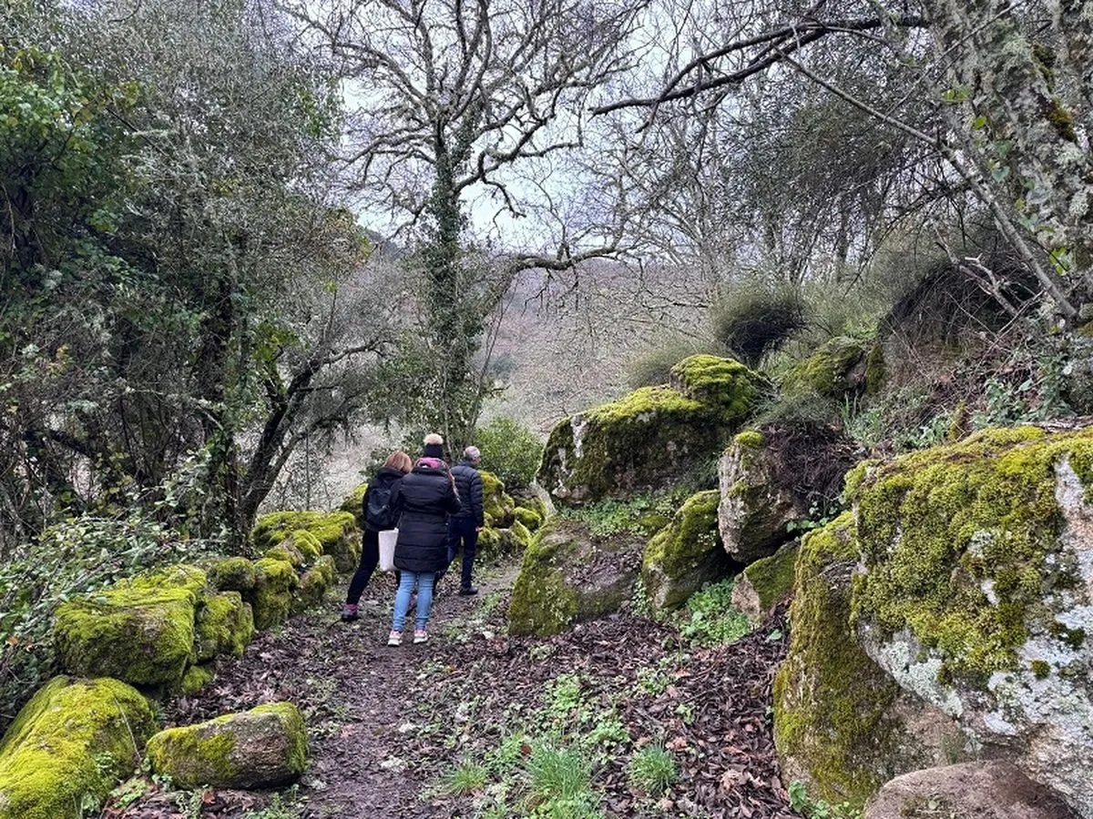 Foto 5 - El Sendero Puentes Nuevas, nueva propuesta en plena Sierra de Francia (FOTOS)