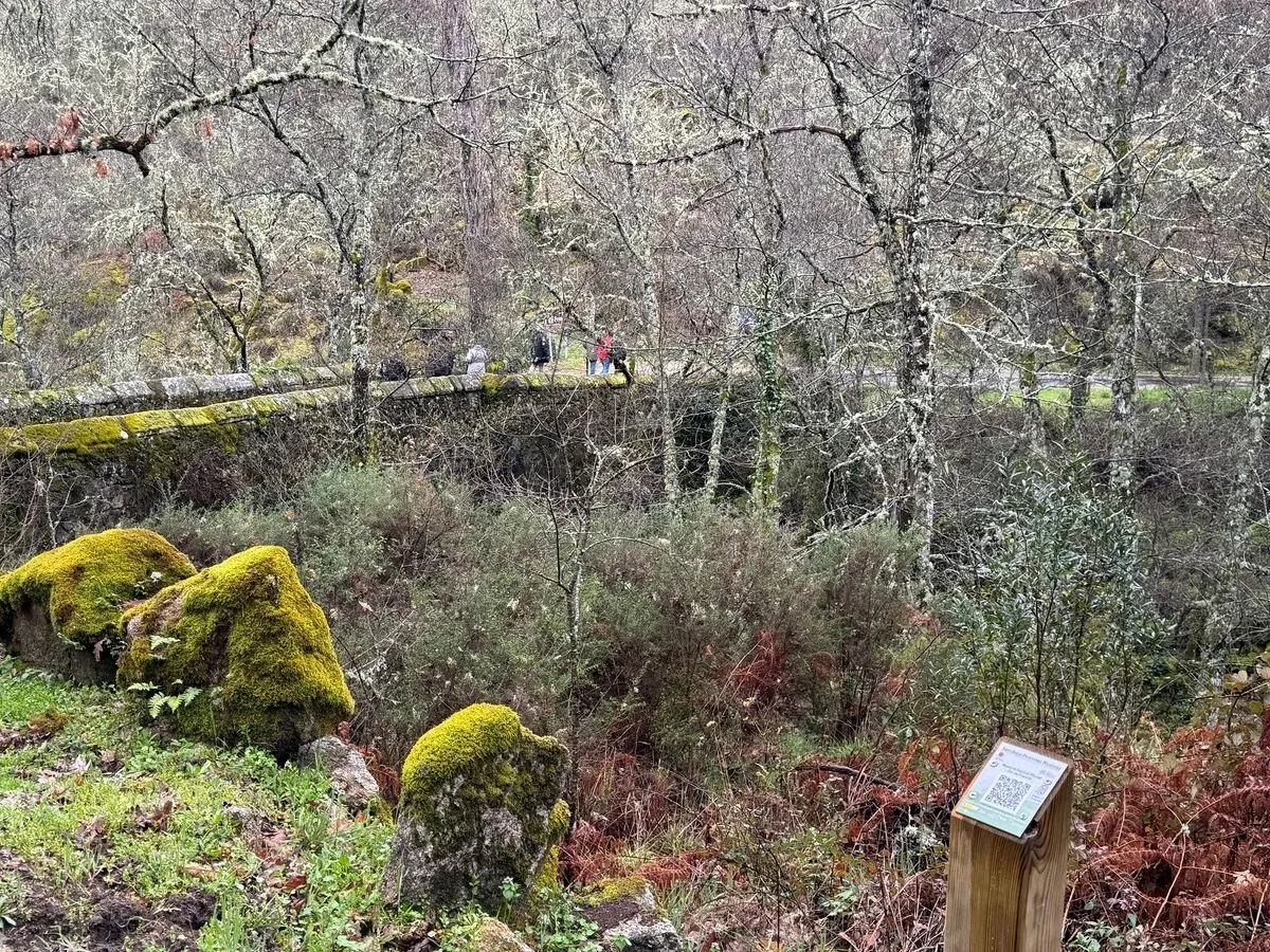 Foto 4 - El Sendero Puentes Nuevas, nueva propuesta en plena Sierra de Francia (FOTOS)