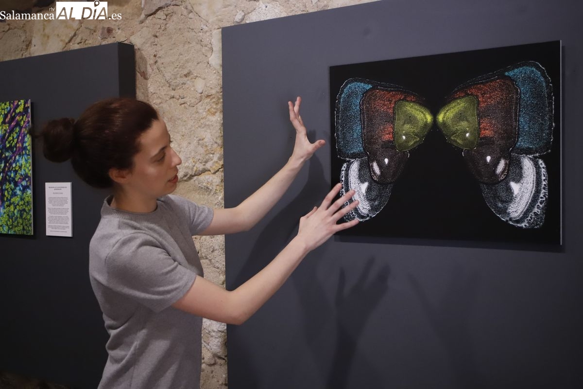 Exposición del II Certamen de Fotografía del INCYL en la Hospedería Fonseca