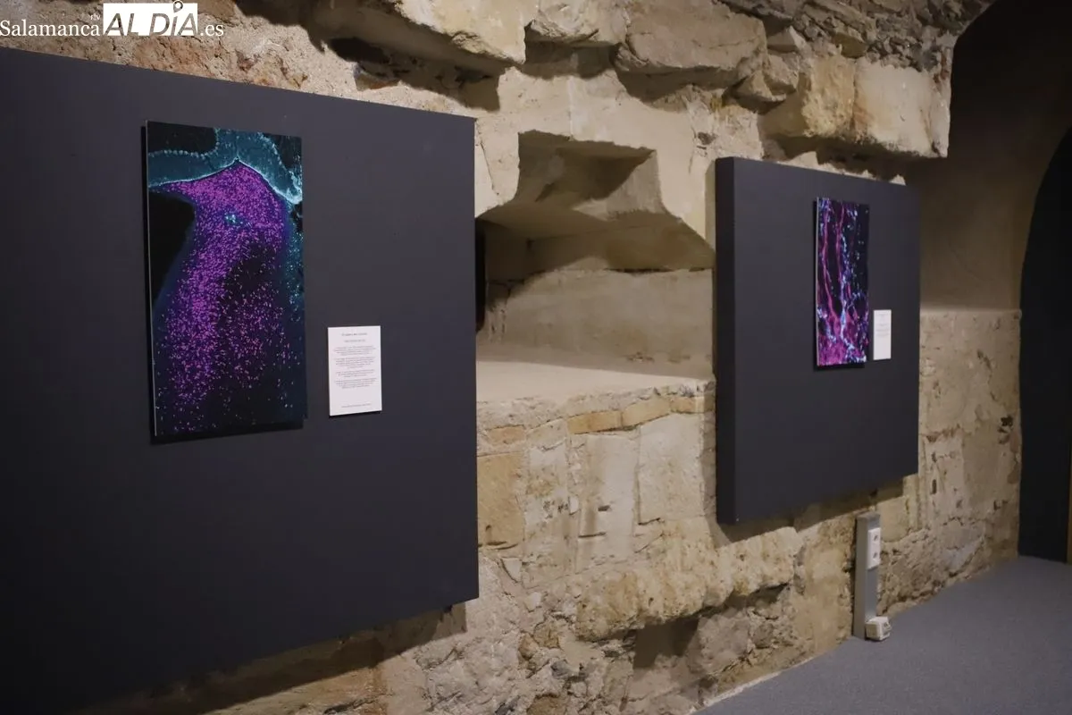 Exposición fotográfica con las imágenes del certamen convocado por el INCYL. Foto de Ángel Puma