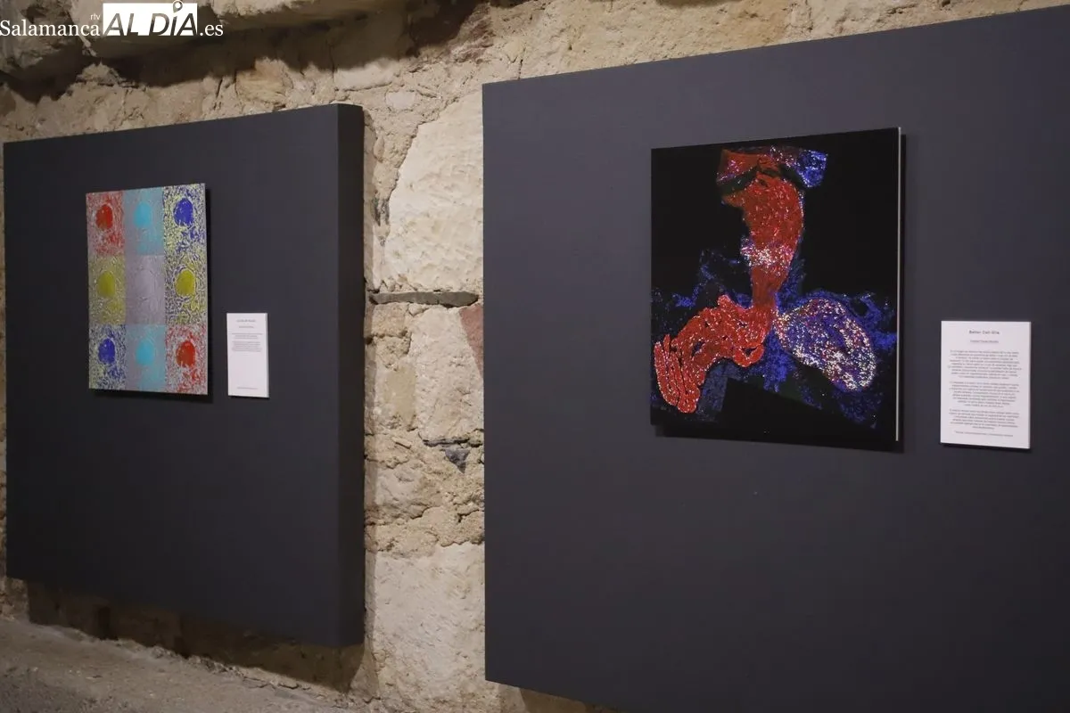 Exposición fotográfica con las imágenes del certamen convocado por el INCYL. Foto de Ángel Puma