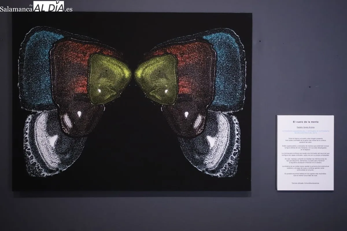 Exposición fotográfica con las imágenes del certamen convocado por el INCYL. Foto de Ángel Puma