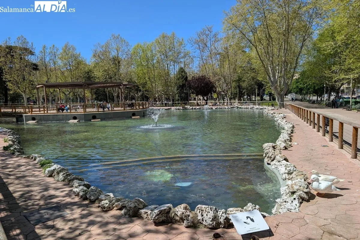 FOTOS | El Parque de La Alamedilla: el 'pulmón verde' de Salamanca convertido en lugar emblemático | FOTOS: David Sañudo 