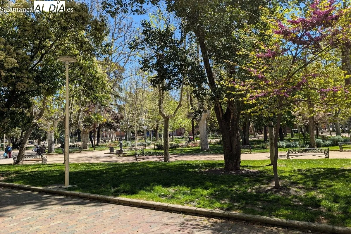 FOTOS | El Parque de La Alamedilla: el 'pulmón verde' de Salamanca convertido en lugar emblemático | FOTOS: David Sañudo 