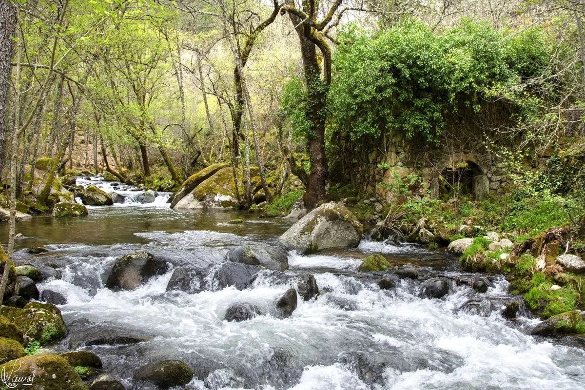 Espectaculares fotografías del sendero Puentes Nuevas en plena Sierra de Francia | FOTOS: Manuel Lamas 