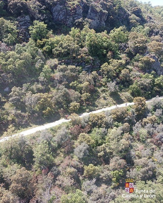 Rescatada una mujer de 85 años en el Pozo de los Humos 