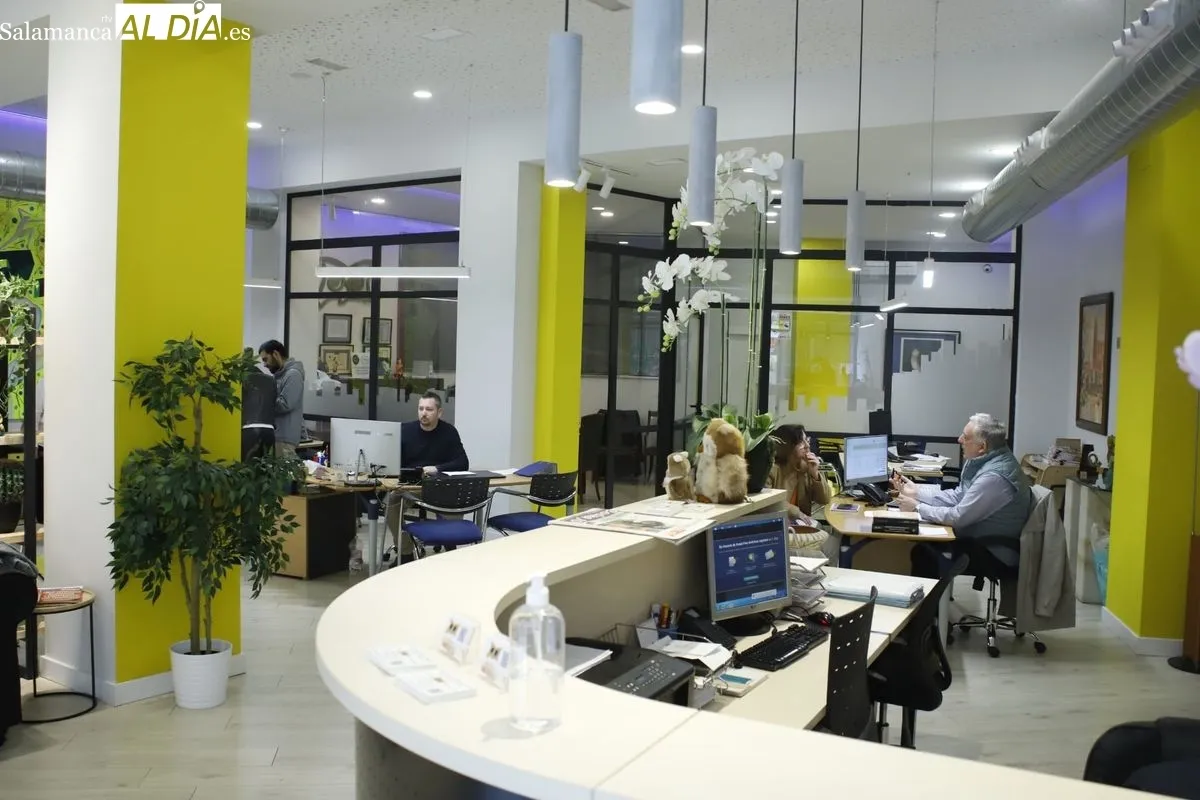 Foto 3 - Inmobiliaria El B&uacute;ho, la inmobiliaria de referencia en Salamanca