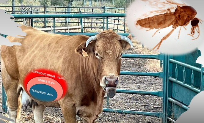 Robleda albergará este viernes la presentación del estudio sobre el impacto de la EHE