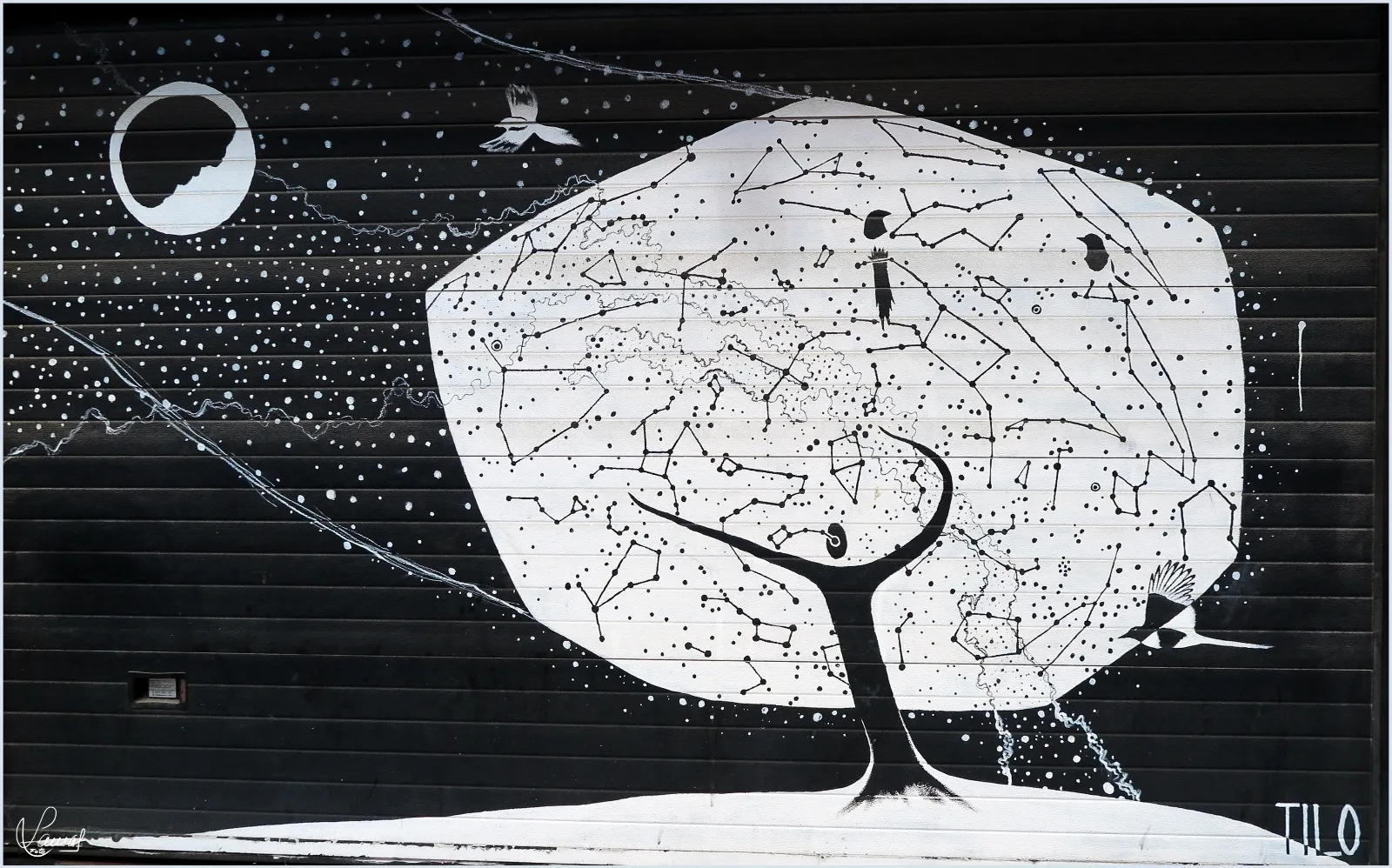 Así lucen las espectaculares obras que tiñen de arte el barrio del oeste | FOTOS:Manuel Lamas