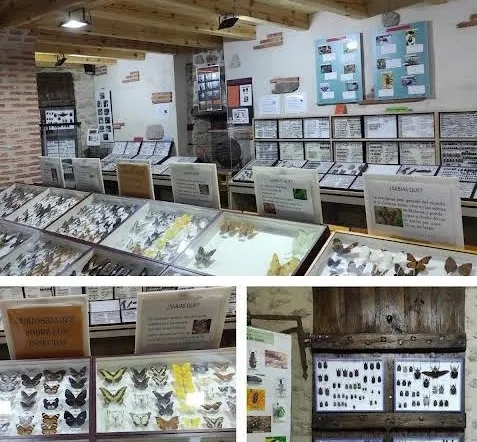 Foto 2 - La Casa Museo de los Insectos de Puebla de Azaba recibe a su visitante numero 1.000