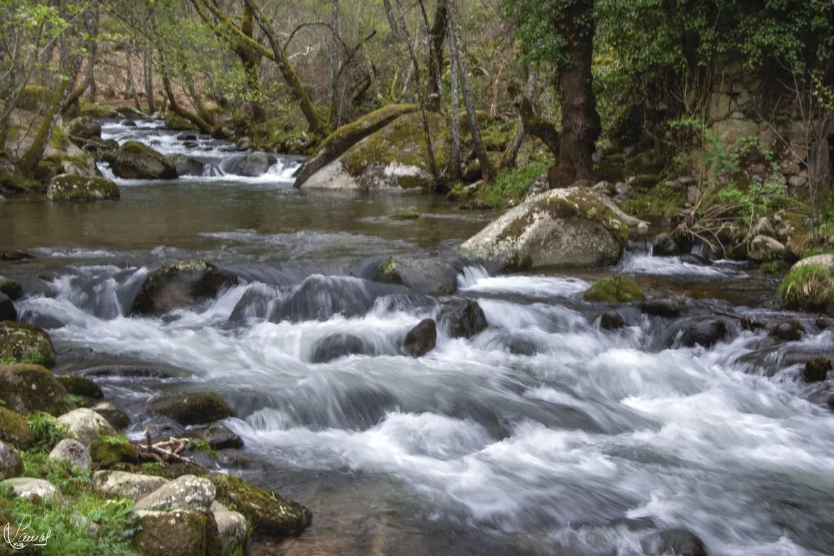 Espectaculares fotografías del sendero Puentes Nuevas en plena Sierra de Francia | FOTOS: Manuel Lamas 