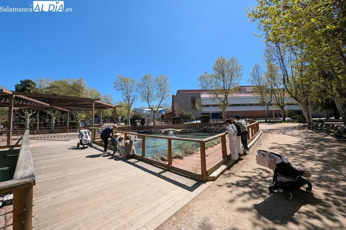 FOTOS | El Parque de La Alamedilla: el 'pulmón verde' de Salamanca convertido en lugar emblemático | FOTOS: David Sañudo 