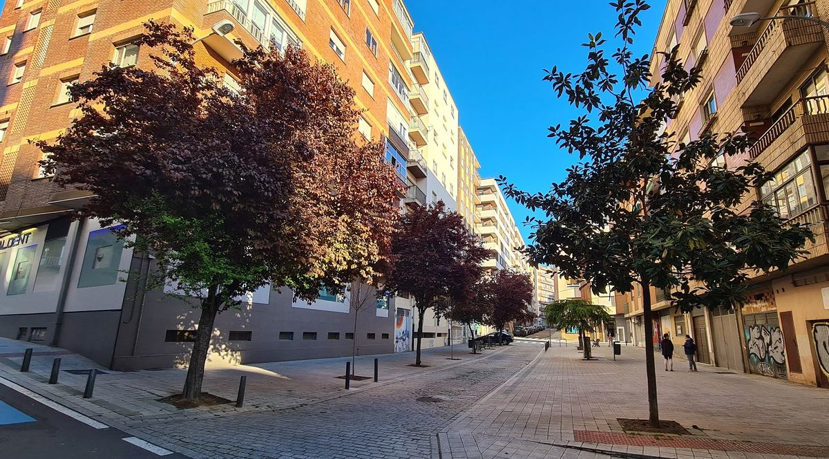 Nuevos árboles en el barrio del Oeste, donde se transformará la calle Gütenberg