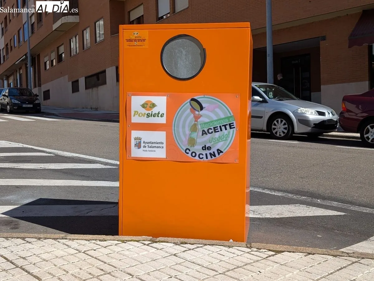 Uno de los contenedores de Salamanca. Foto de David Sañudo