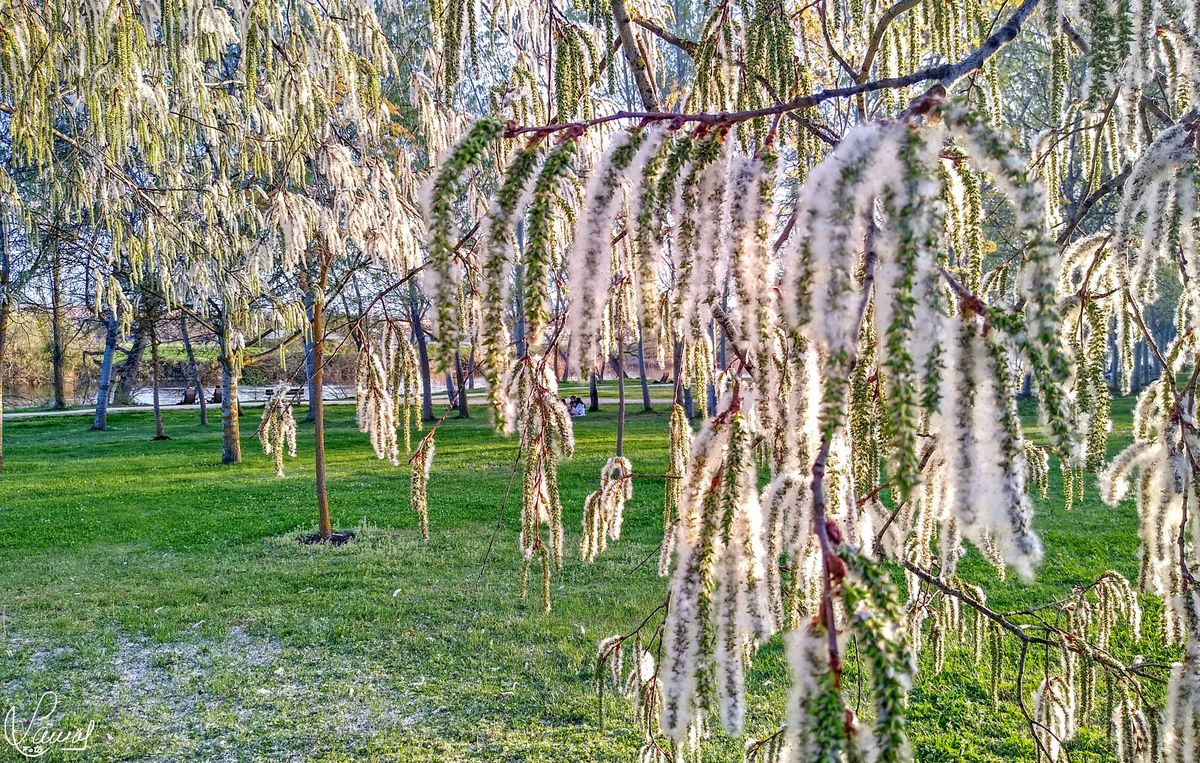 Parque Botánico de Huerta Otea, Salamanca