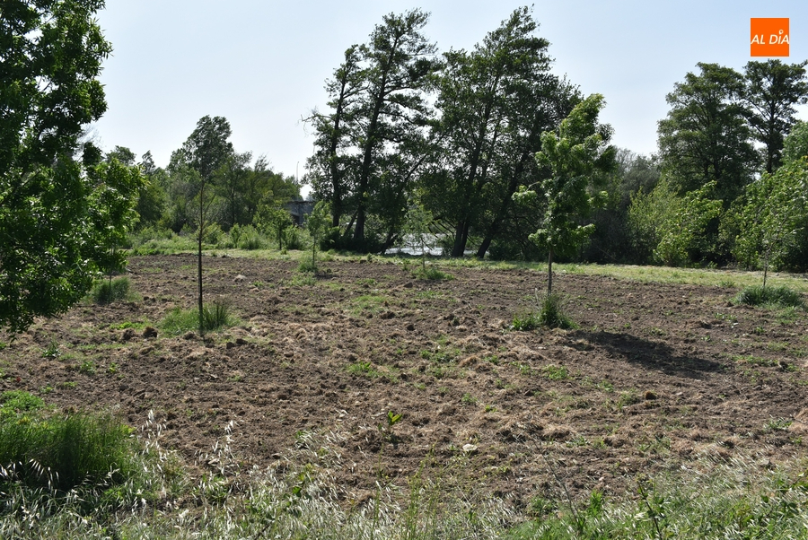 Adjudicado con un céntimo de ahorro el contrato de suministros para la reforma de La Moretona