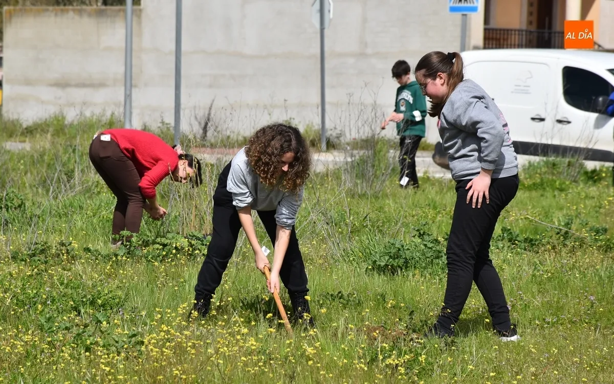 Foto 2 - Alumnos del IES Tierra plantan 90 &aacute;rboles en el marco de un proyecto educativo