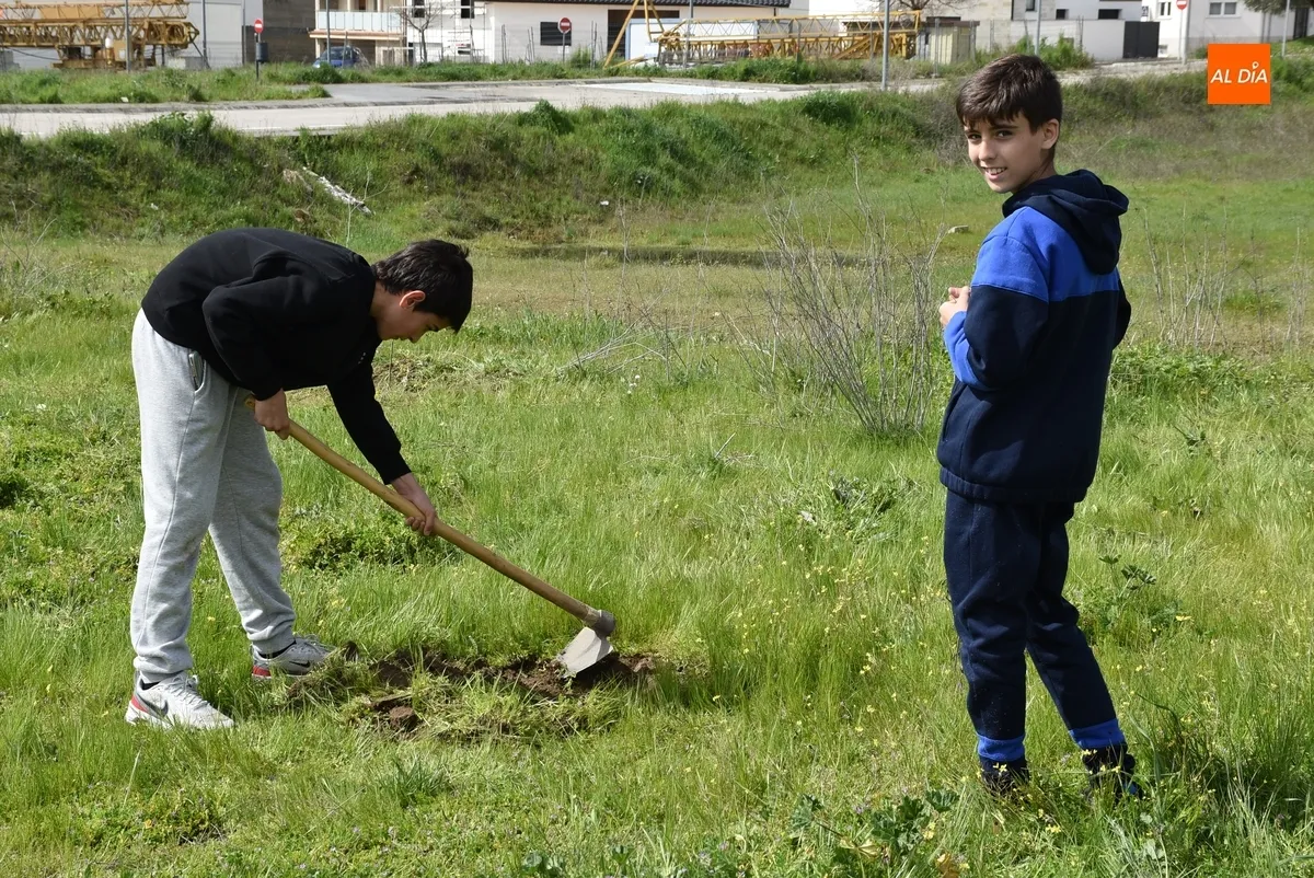 Foto 7 - Alumnos del IES Tierra plantan 90 &aacute;rboles en el marco de un proyecto educativo