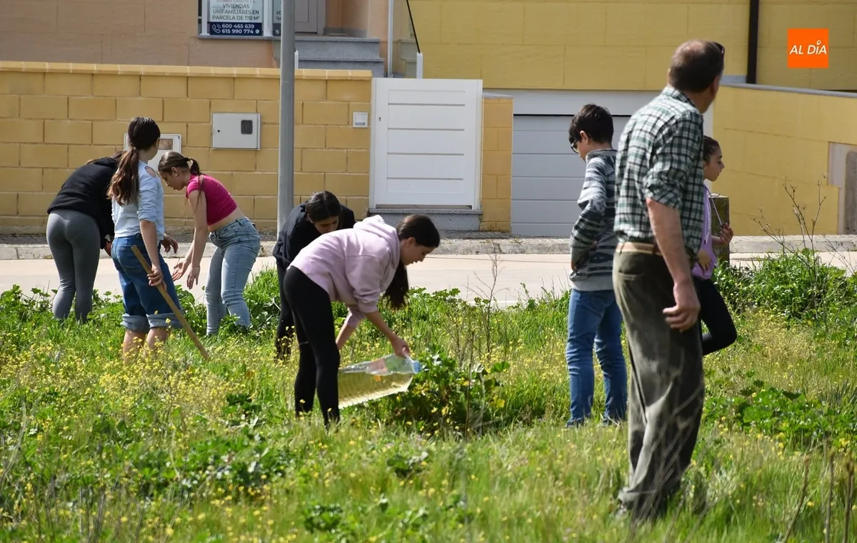 Foto 10 - Alumnos del IES Tierra plantan 90 &aacute;rboles en el marco de un proyecto educativo