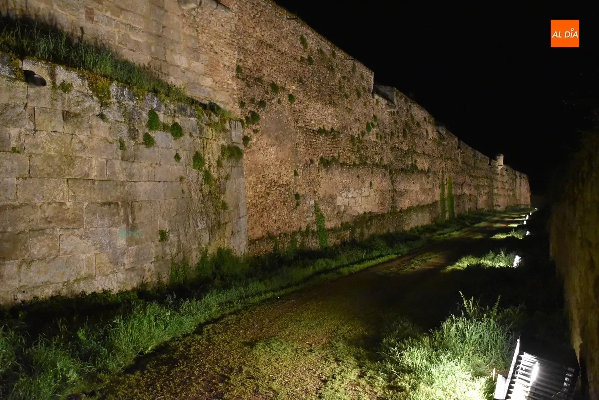 Foto 7 - Puesta de largo de la nueva iluminaci&oacute;n del recinto amurallado de Ciudad Rodrigo