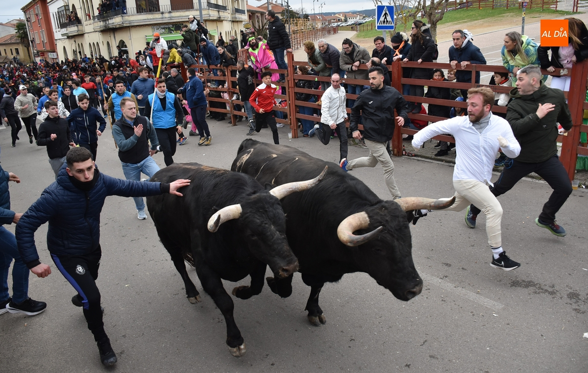 Entra en vigor el renovado Reglamento Regulador del Carnaval del Toro