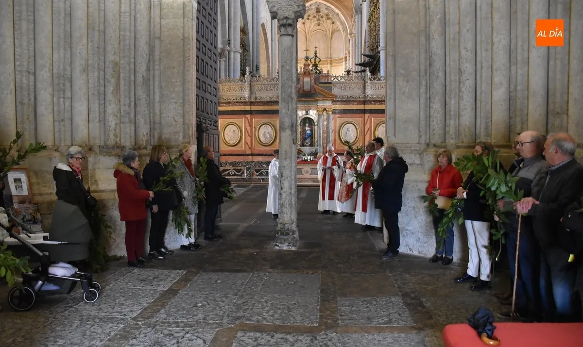 Foto 5 - El P&oacute;rtico del Perd&oacute;n acoge la bendici&oacute;n de los ramos de laurel en la Catedral