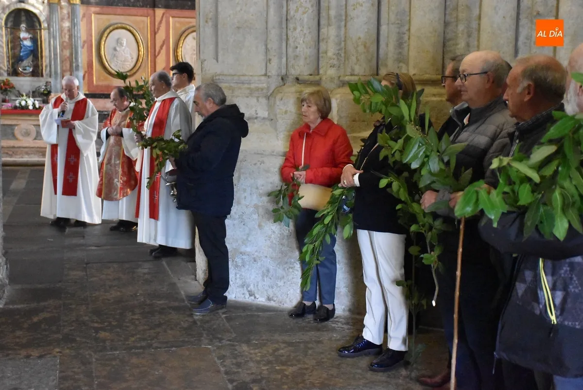 Foto 6 - El P&oacute;rtico del Perd&oacute;n acoge la bendici&oacute;n de los ramos de laurel en la Catedral