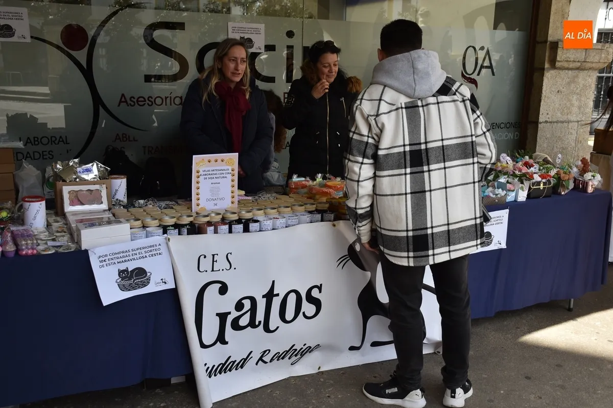 Foto 5 - Los soportales de Cardenal Pacheco albergan un ap&eacute;ndice al Mercado con 4 puestos mirobrigenses