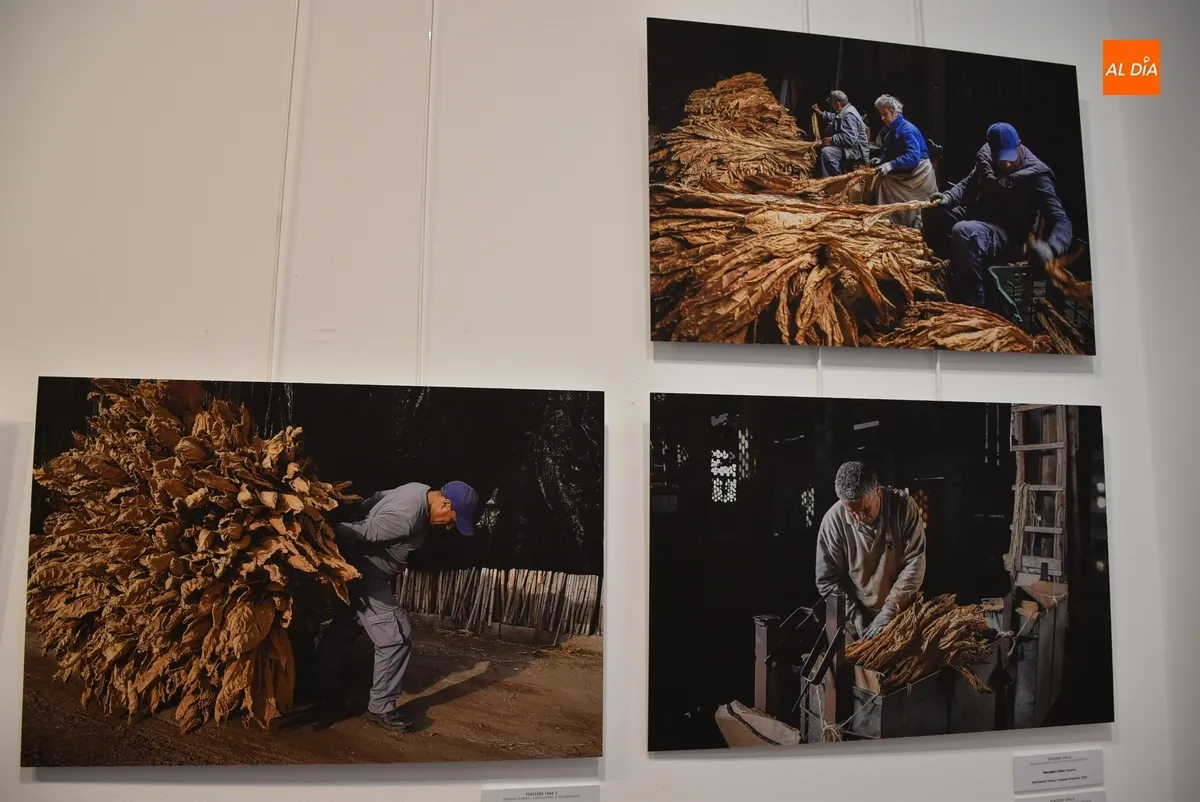 Foto 10 - El Ayuntamiento abre relaci&oacute;n con el Centro de Estudios Ib&eacute;ricos con una expo &lsquo;sin Fronteras&rsquo; 