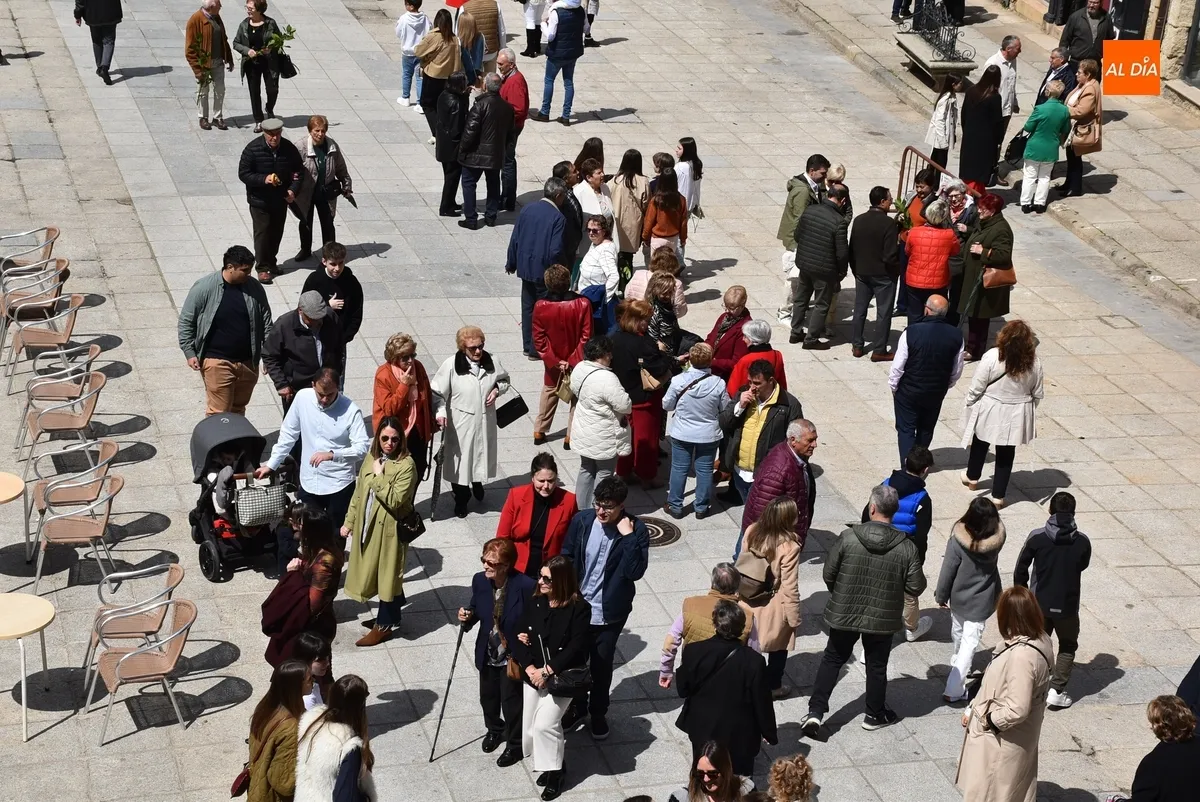 Foto 5 - El Domingo de Ramos depara un gran ambiente en el centro hist&oacute;rico mirobrigense