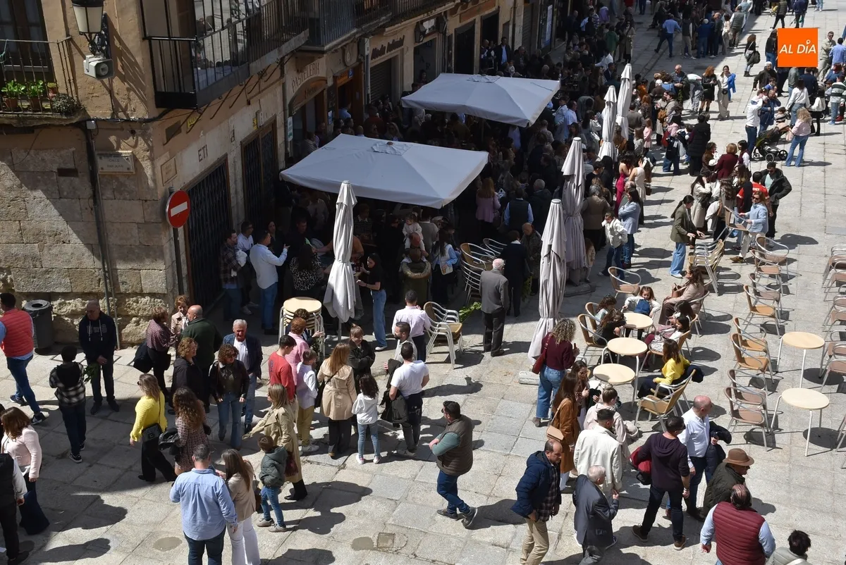 Foto 6 - El Domingo de Ramos depara un gran ambiente en el centro hist&oacute;rico mirobrigense
