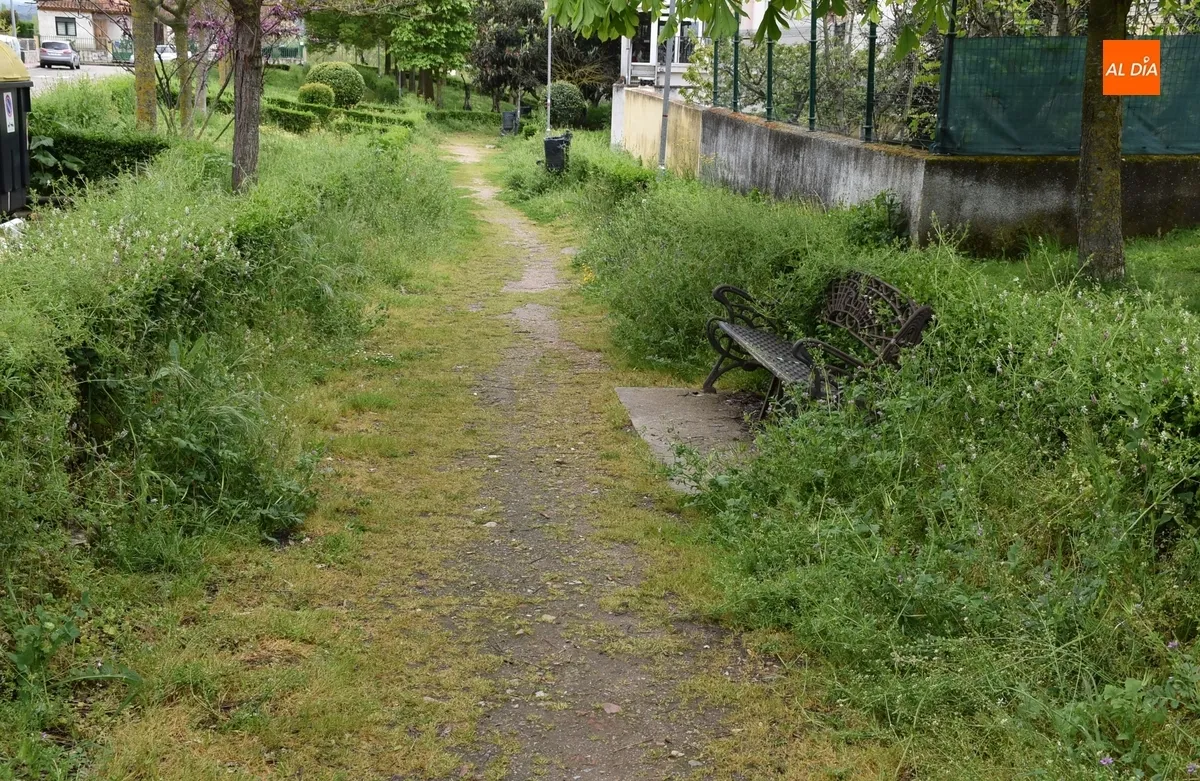 Foto 2 - Vecinos de las calles Pe&ntilde;a del Sastre y Goya denuncian la vegetaci&oacute;n descontrolada en sus v&iacute;as