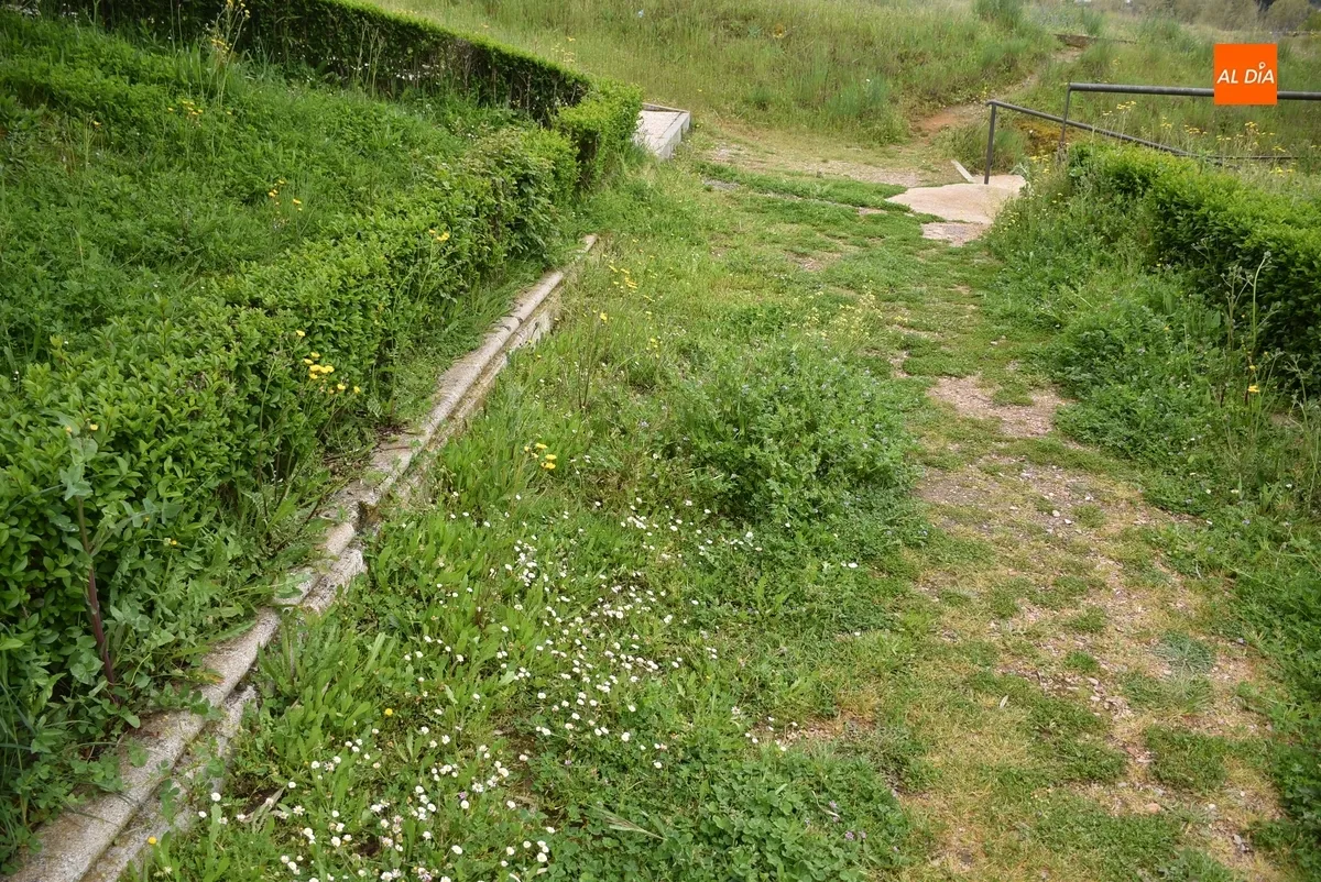 Foto 8 - Vecinos de las calles Pe&ntilde;a del Sastre y Goya denuncian la vegetaci&oacute;n descontrolada en sus v&iacute;as