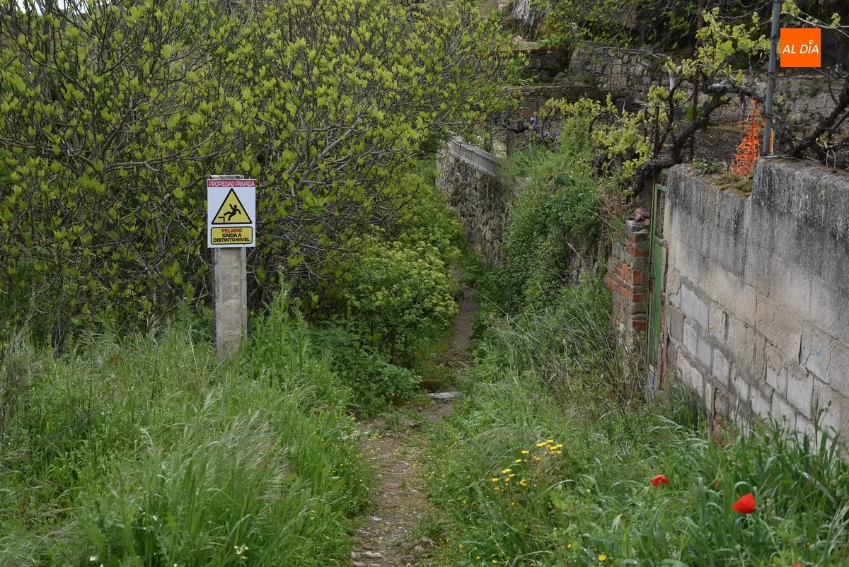 Foto 10 - Vecinos de las calles Pe&ntilde;a del Sastre y Goya denuncian la vegetaci&oacute;n descontrolada en sus v&iacute;as