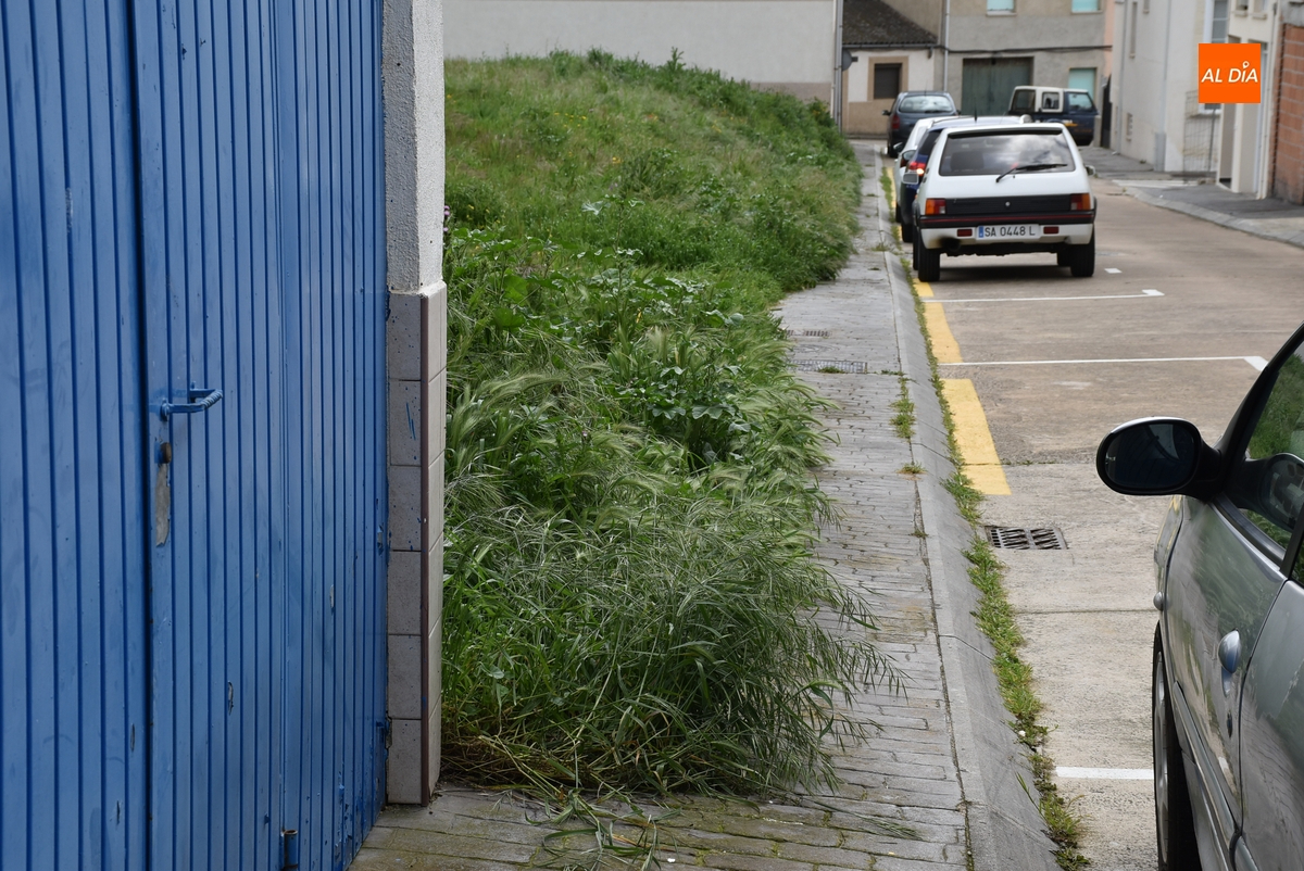 Vecinos de las calles Peña del Sastre y Goya denuncian la vegetación descontrolada en sus vías