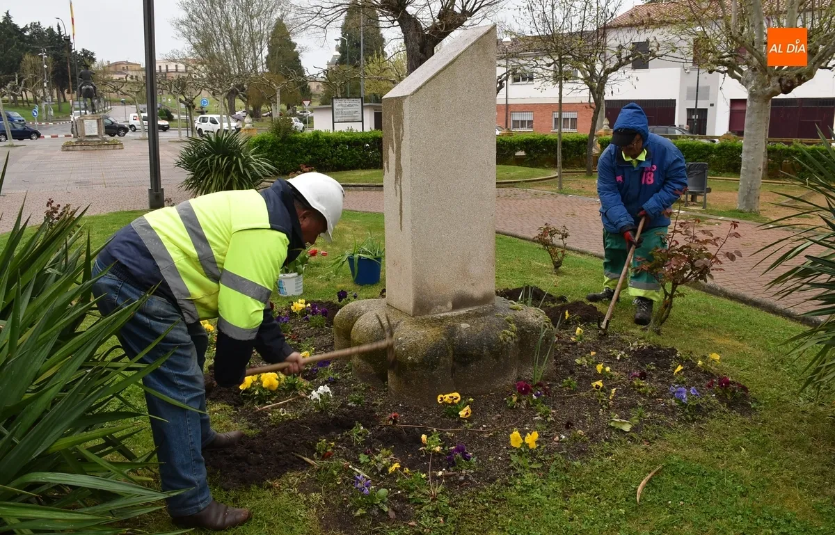 Foto 2 - Plantados bajo la lluvia tulipanes en La Glorieta con motivo del D&iacute;a Mundial del Parkinson