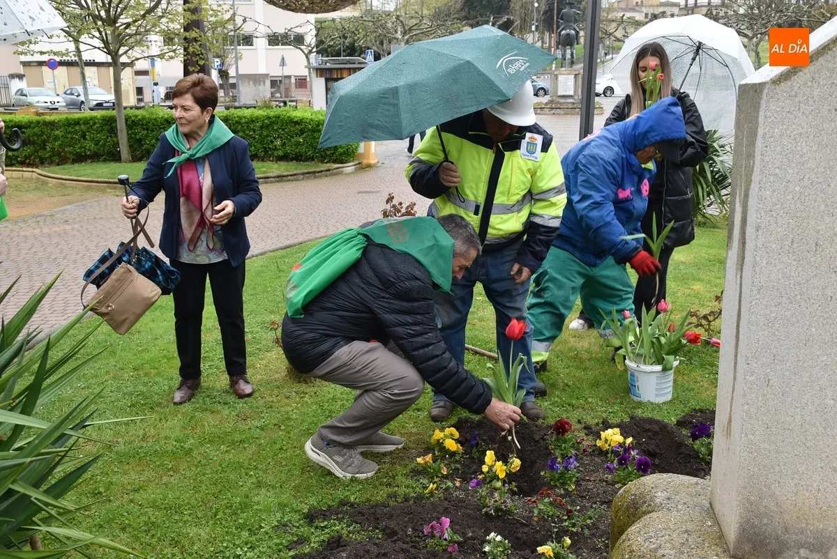 Foto 6 - Plantados bajo la lluvia tulipanes en La Glorieta con motivo del D&iacute;a Mundial del Parkinson