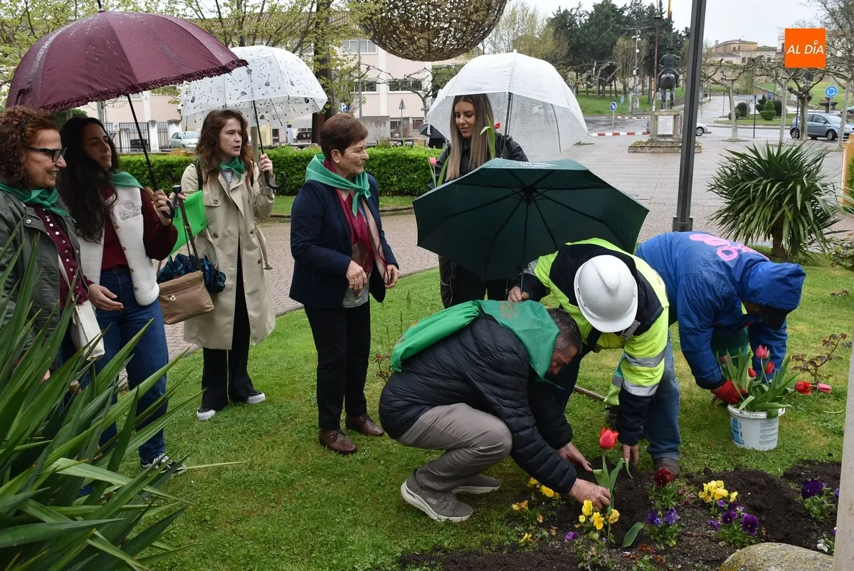 Foto 7 - Plantados bajo la lluvia tulipanes en La Glorieta con motivo del D&iacute;a Mundial del Parkinson