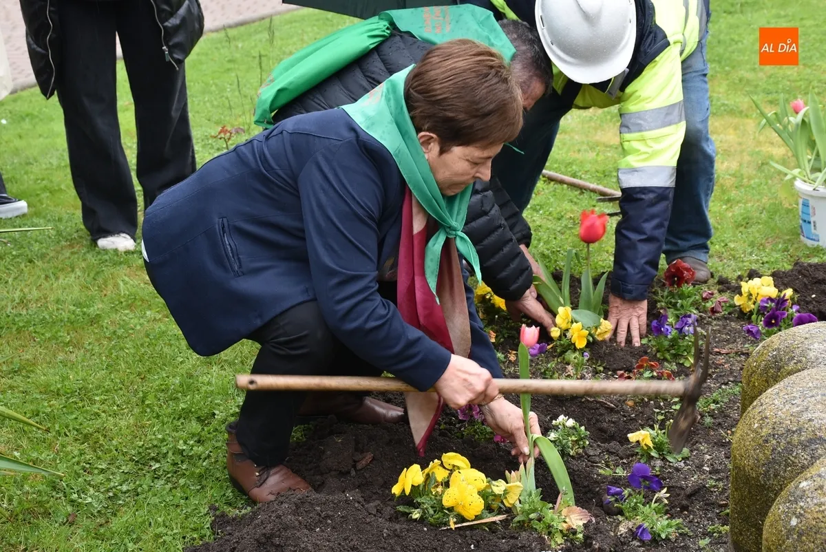 Foto 8 - Plantados bajo la lluvia tulipanes en La Glorieta con motivo del D&iacute;a Mundial del Parkinson