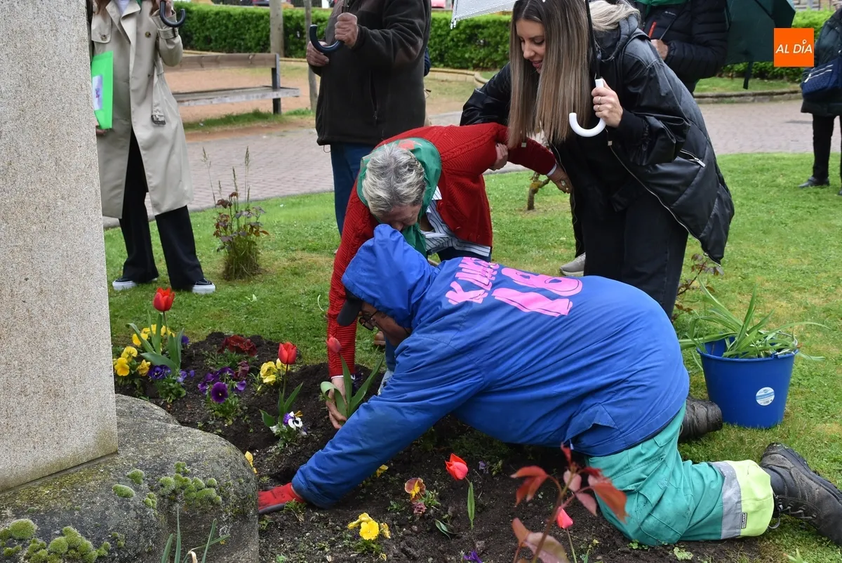 Foto 11 - Plantados bajo la lluvia tulipanes en La Glorieta con motivo del D&iacute;a Mundial del Parkinson