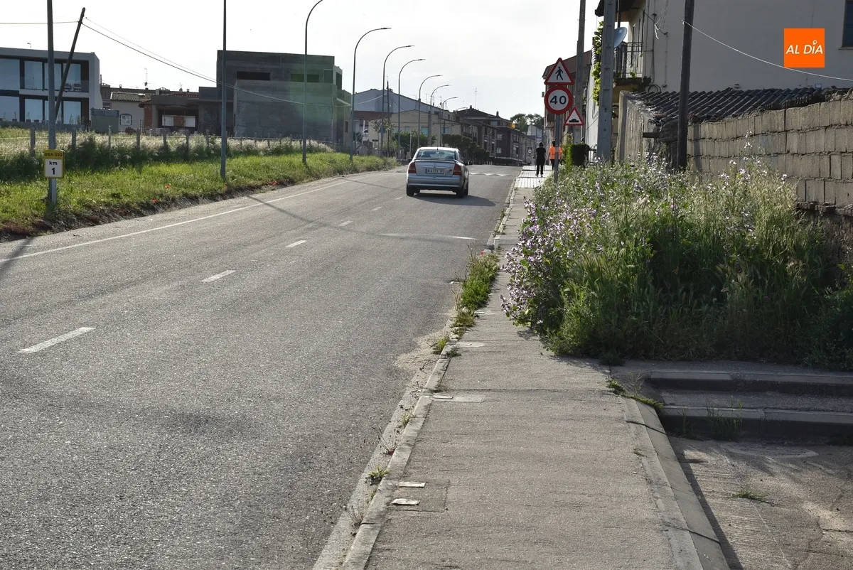 Foto 4 - La vegetaci&oacute;n invade la acera de Conde de Fox&aacute; en la zona de entrada a Ciudad Rodrigo