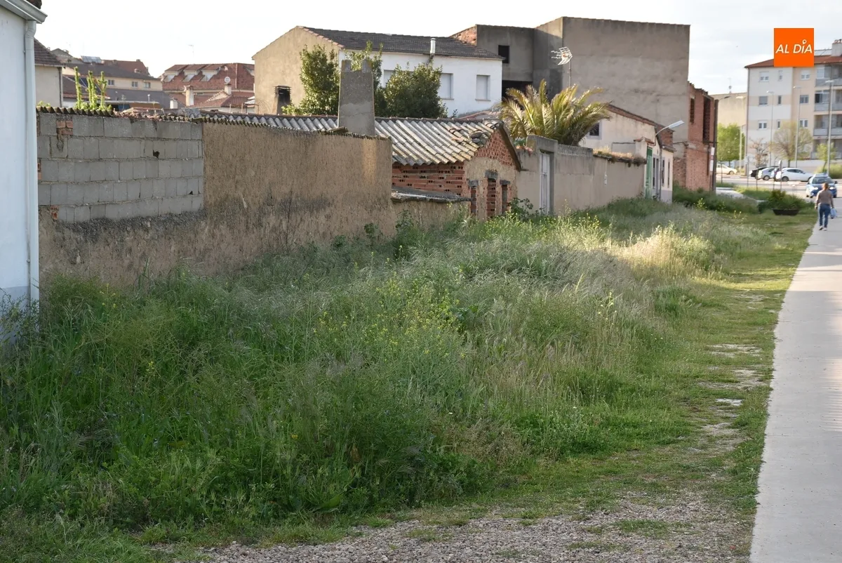 Foto 6 - La vegetaci&oacute;n invade la acera de Conde de Fox&aacute; en la zona de entrada a Ciudad Rodrigo
