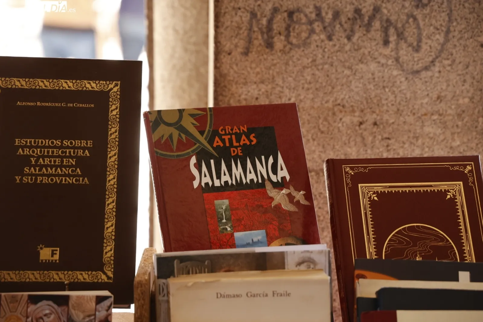 Día del Libro en la Plaza Mayor de Salamanca | Fotos: David Sañudo