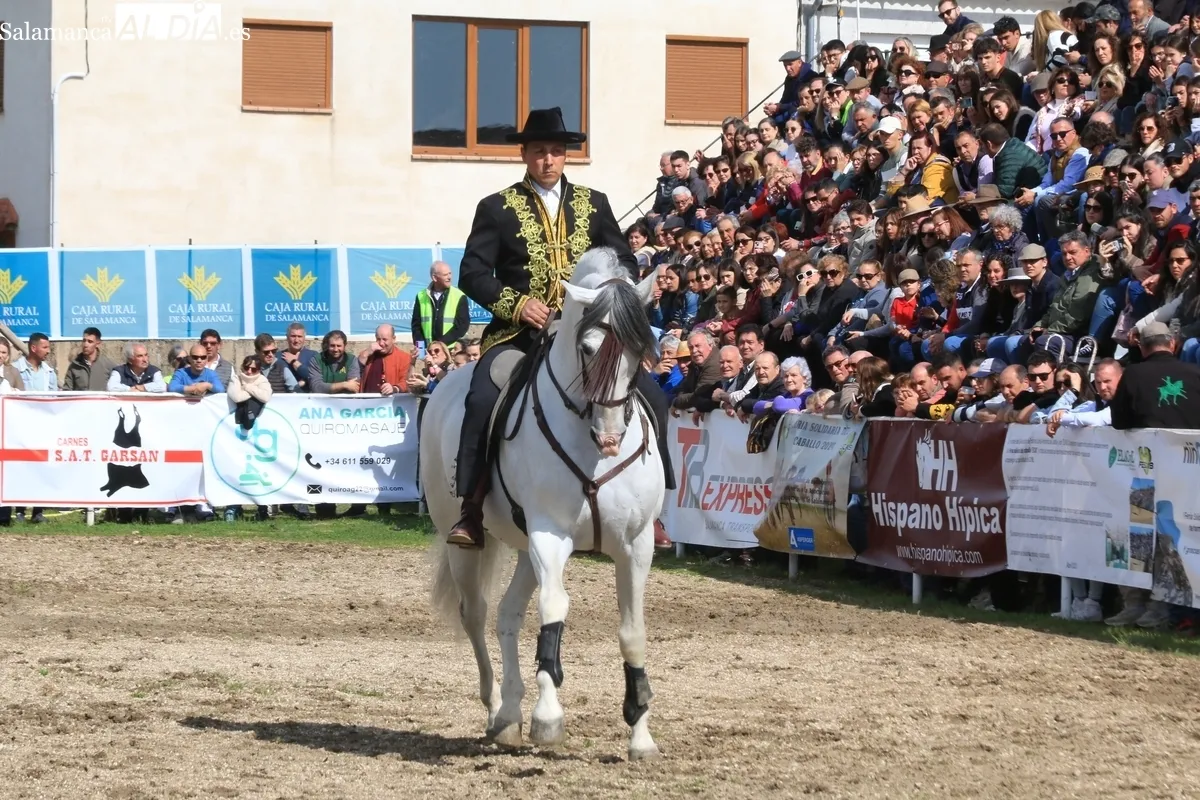 IV Feria Solidaria del Caballo de Bañobárez / CORRAL