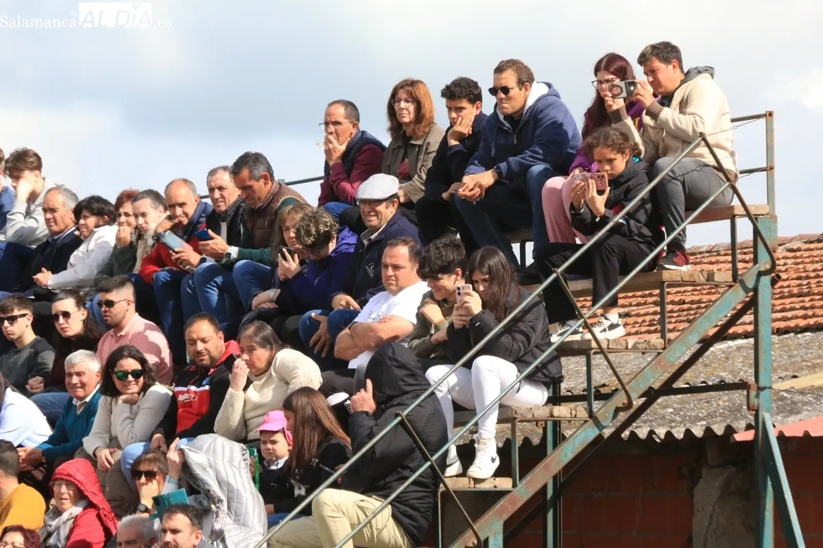 IV Feria Solidaria del Caballo de Bañobárez / CORRAL